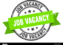 Software Tester Role